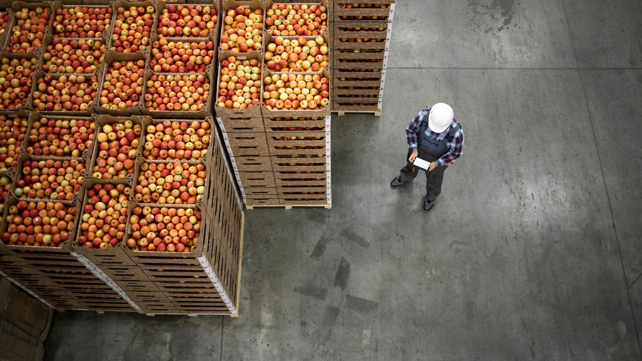 food-security-image