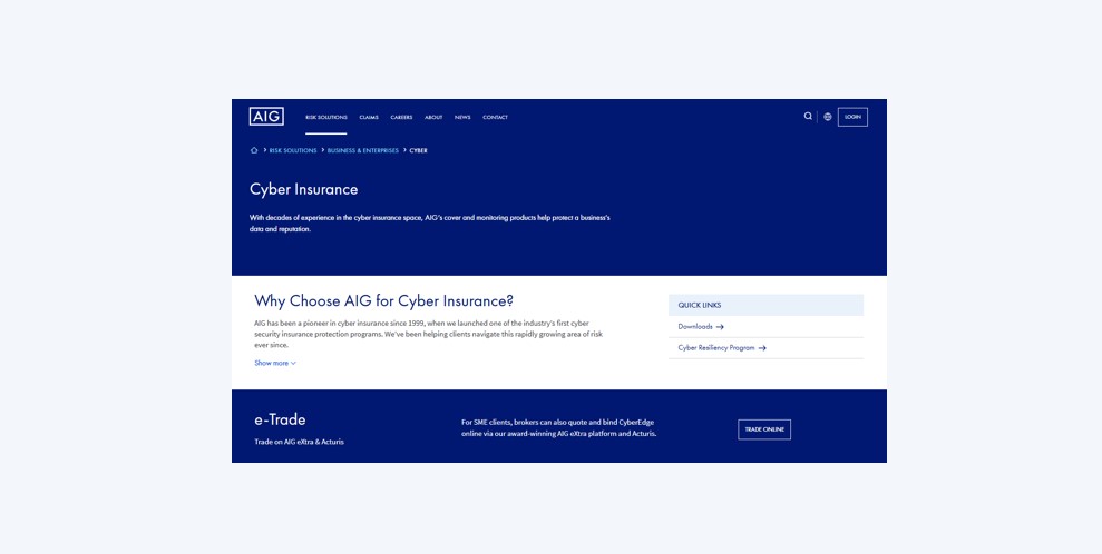 cyber page