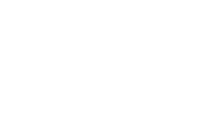 AIG Logo